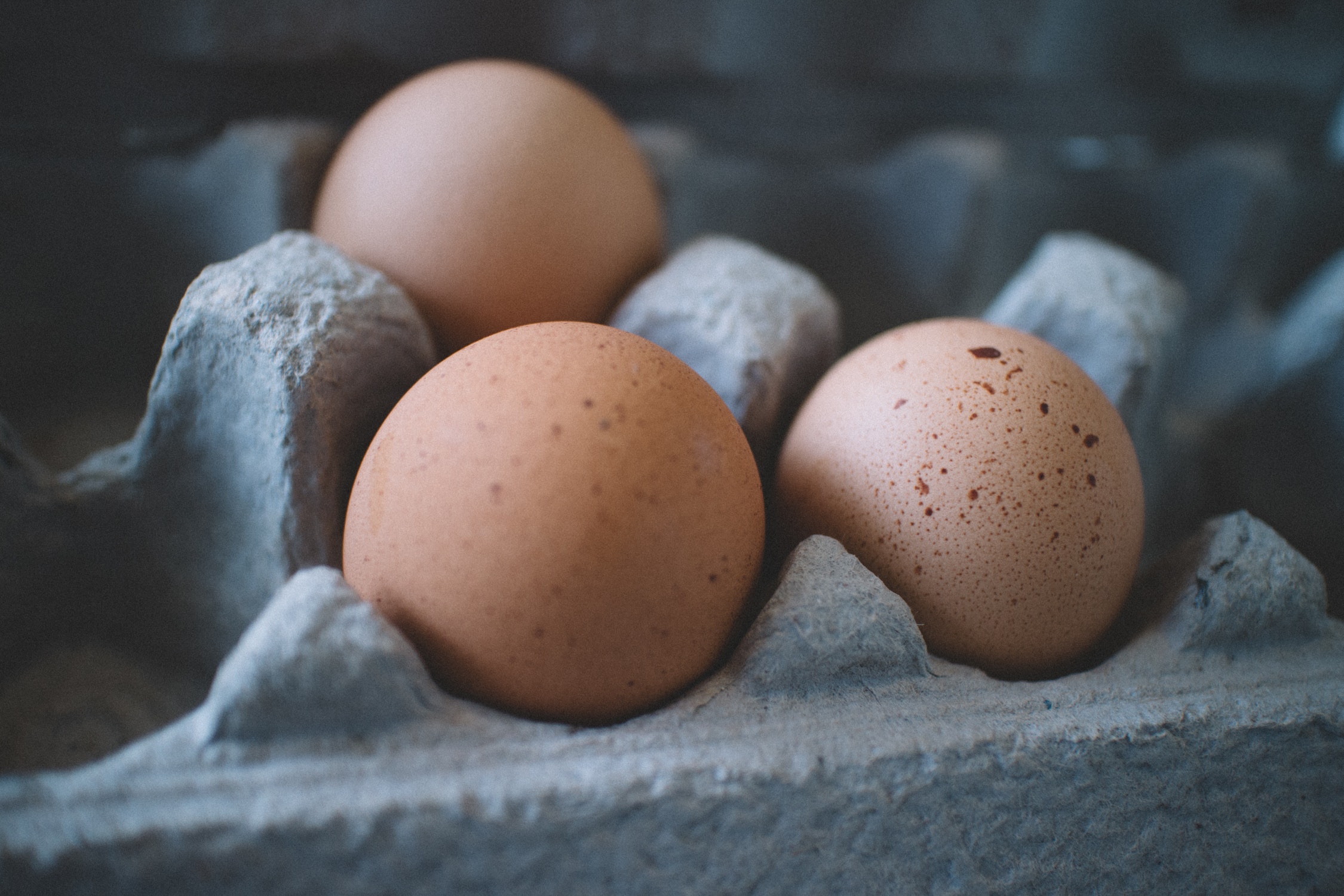How Much Protein Do You Need To Support Fertility?